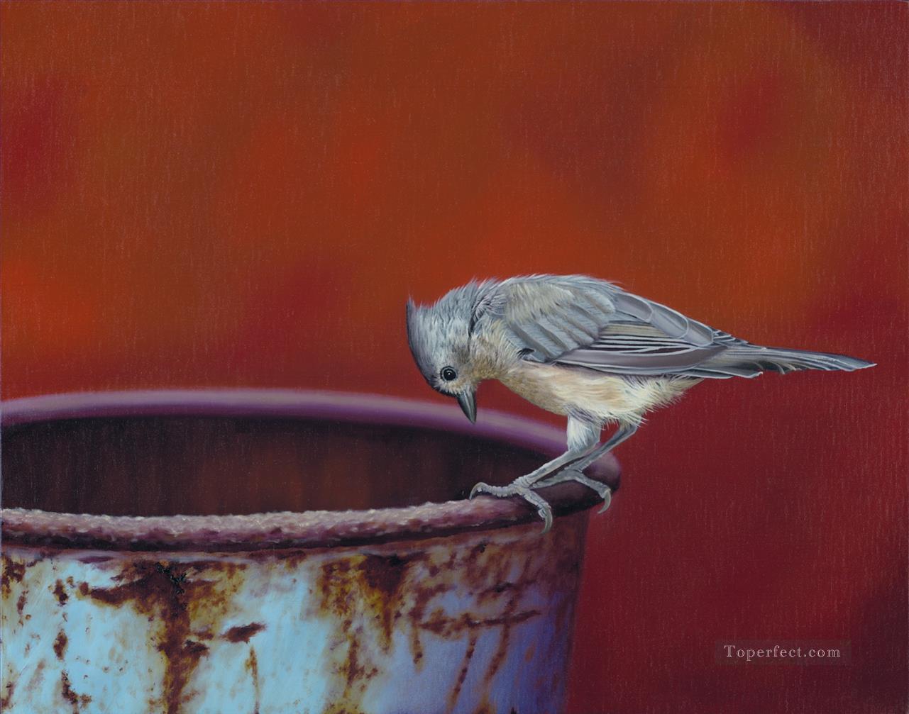 bird watching into a can Oil Paintings